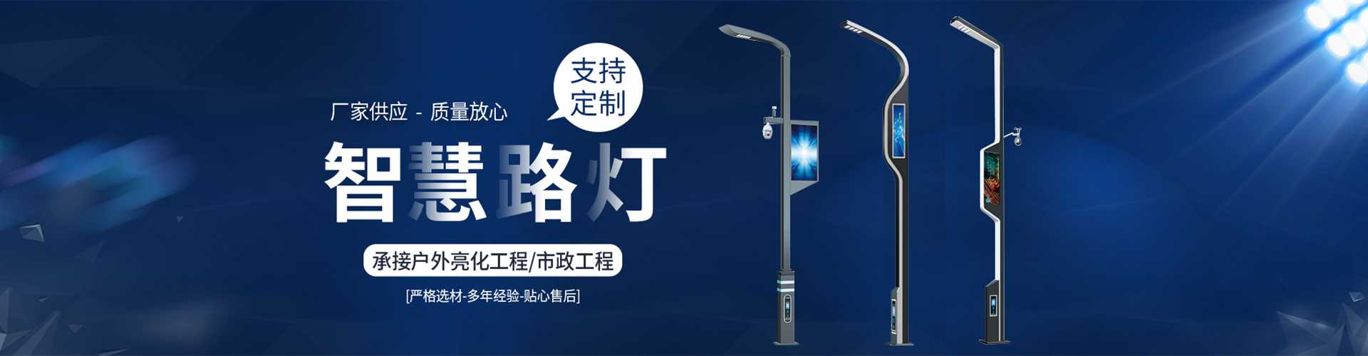 东西湖区太阳能路灯定制厂家