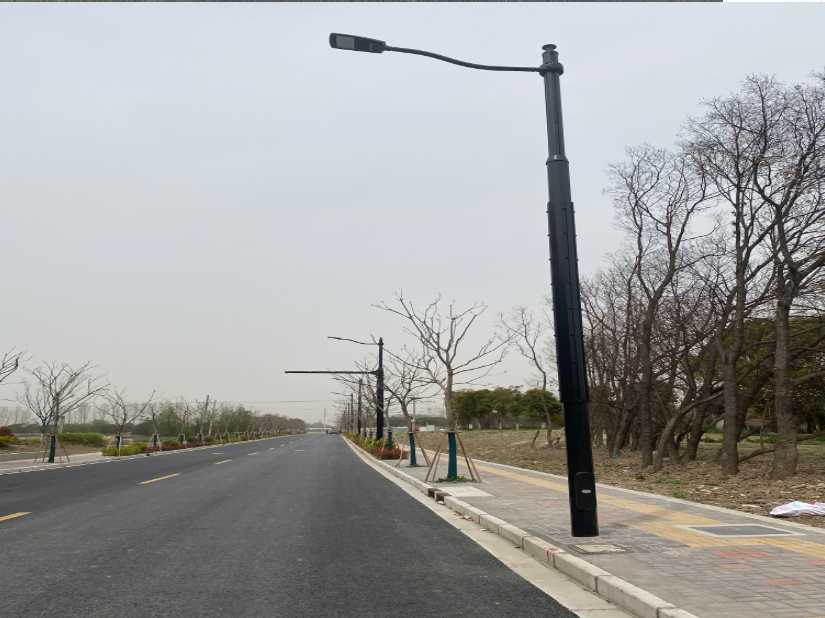 东西湖区上海综合杆 太阳能路灯工程